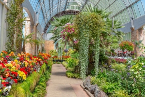 Romantic Charms of Auckland – Private Walking Tour