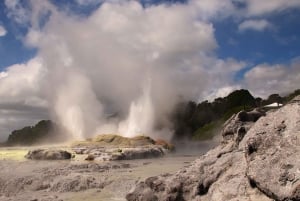 Rotorua: Glühwürmchenhöhle, Redwoods Forest & Te Puia Tour