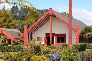 Rotorua: Glühwürmchenhöhle, Redwoods Forest & Te Puia Tour