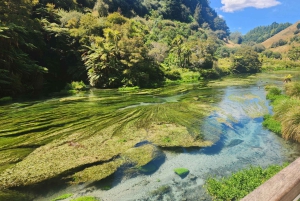 Rotorua & Taupo Dagstur Waiotapu & Huka Falls från Auckland