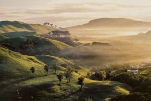 Rotorua & Taupo:Wai-O-Tapu, Redwood Walk & Hukka falls Tour