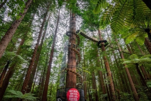 Rotorua: Wai-O-Tapu, Redwoods, and Secret Spot a Day Tour
