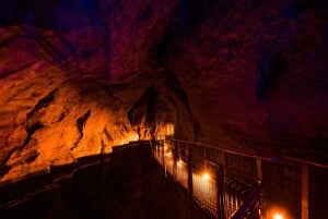 RUAKURI CAVE & HAMILTON GARDENS-PRIVATE TUR FRA AUCKLAND