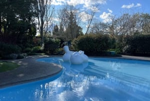 RUAKURI CAVE & HAMILTON GARDENS-PRIVATE TUR FRA AUCKLAND