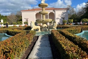 RUAKURI CAVE & HAMILTON GARDENS-PRIVATE TUR FRA AUCKLAND