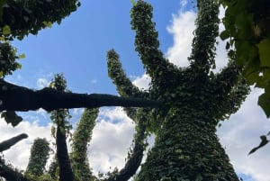 RUAKURI CAVE & HAMILTON GARDENS-PRIVATE TUR FRA AUCKLAND