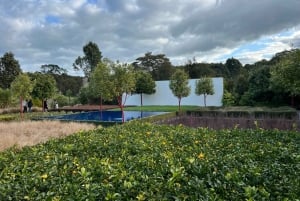 RUAKURI CAVE & HAMILTON GARDENS-PRIVATE TUR FRA AUCKLAND