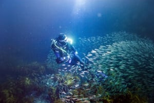 Sandspit: 2-Day Liveaboard Boat Trip to Great Barrier Island
