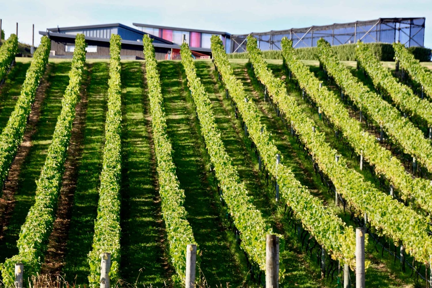 Sea, Land & Sky Premium Package