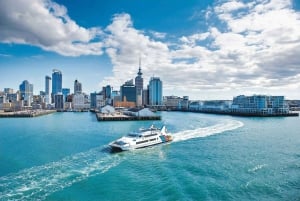 Sea, Land & Sky Premium Package