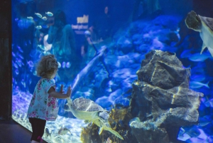 Sea Life Kelly Tarlton's Aquarium General Admission