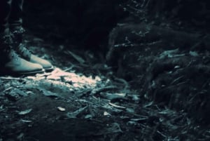 See Auckland's Secret Glow Worms