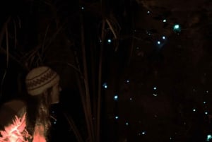 See Auckland's Secret Glow Worms
