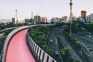 Shore Excursion from Auckland - Private Tour & Wine Tasting