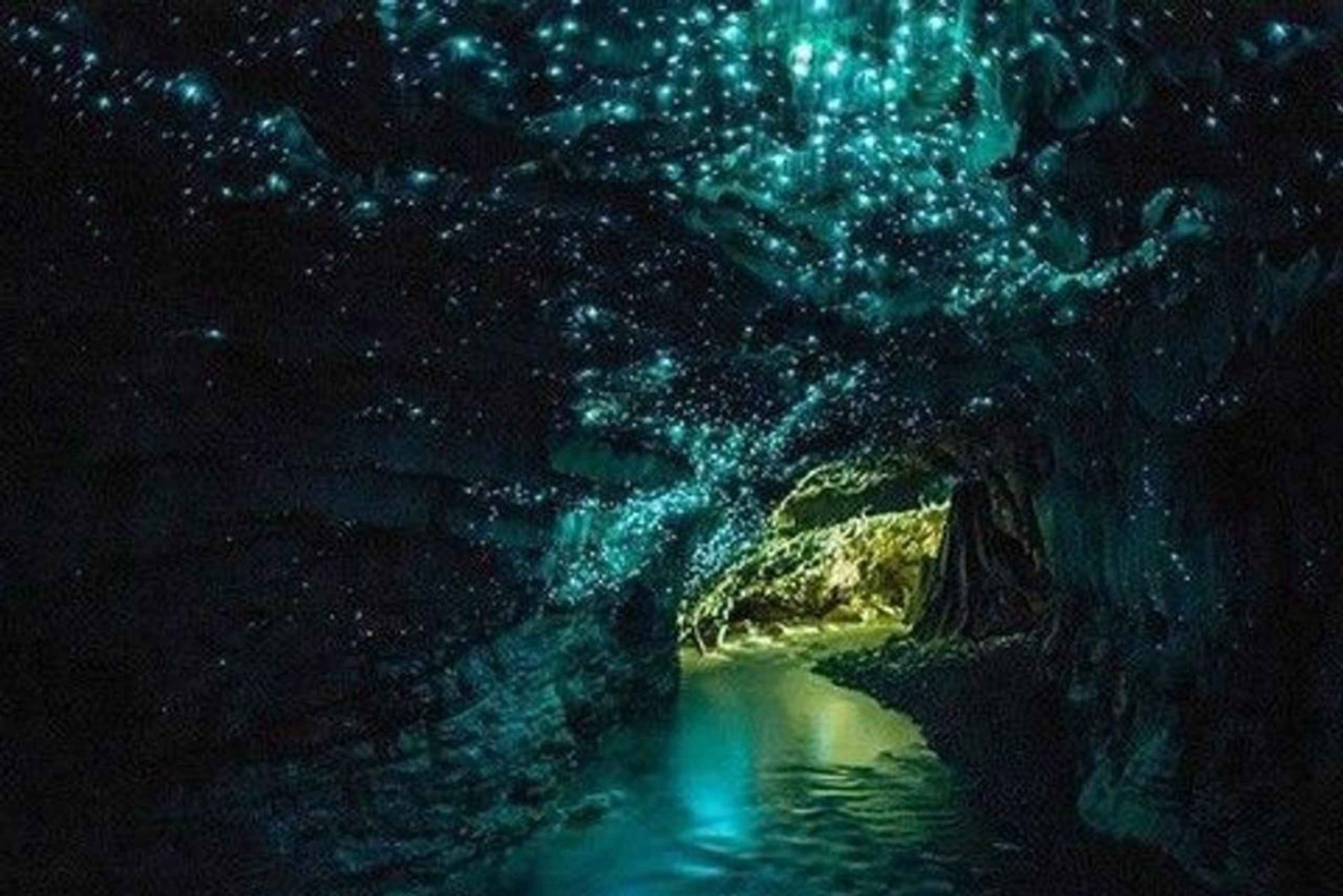 Small-Group Waitomo Glowworm Caves Day Tour from Auckland