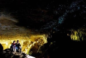 Small-Group Waitomo Glowworm Caves Day Tour from Auckland