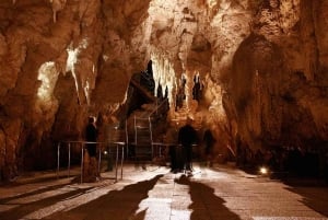 Small-Group Waitomo Glowworm Caves Day Tour from Auckland