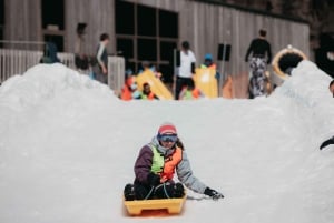 Окленд: однодневная экскурсия «СНЕЖНАЯ ГОРНАЯ» на гору Руапеху Вакапапа