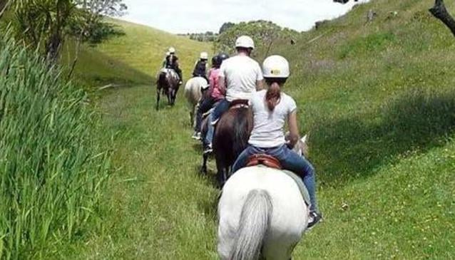 Tasman Horse Treks
