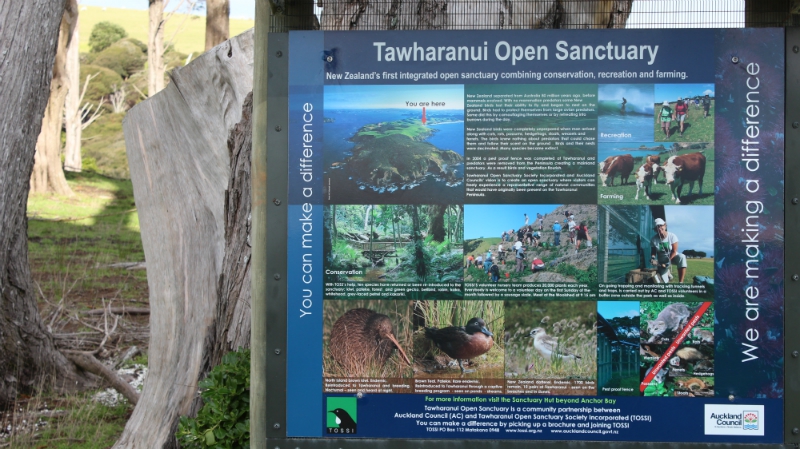 Tawharanui Regional Park