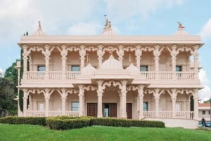 Det bedste af Auckland på en privat byvandring