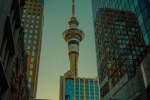 Det bedste af Auckland på en privat byvandring