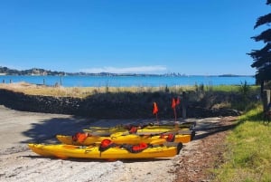 Die Riverhead Taverne Kajaktour