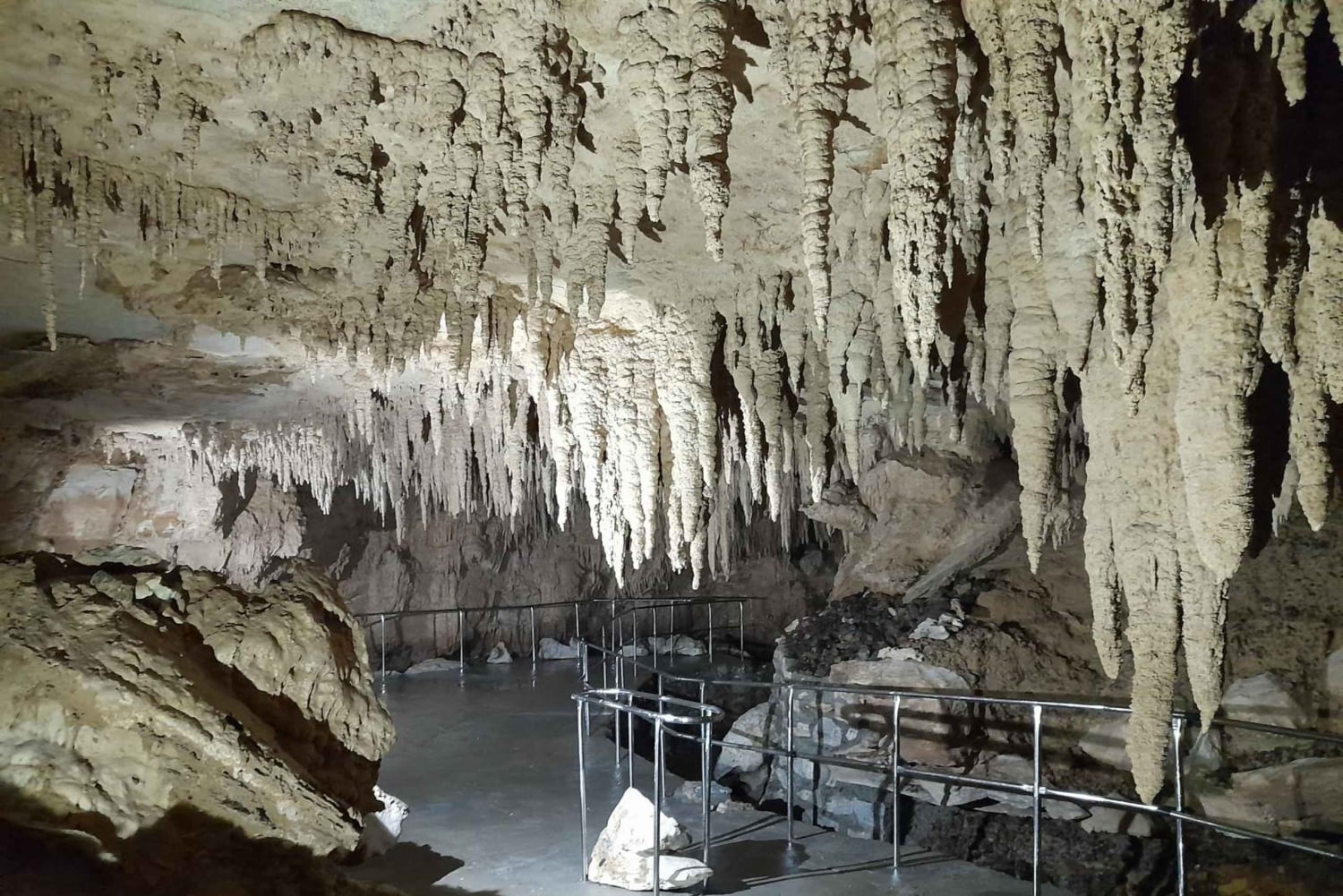 TrioDEAL MilkyWay GLOWWORM-grot, Kiwi-vogel en Whangarei-watervallen