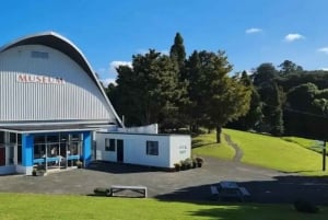 TrioDEAL MilkyWay GLOWWORM-grot, Kiwi-vogel en Whangarei-watervallen