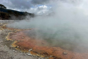 Ex Auckland: TRIPLE DEAL Wai-O-Tapu, Redwood & Blue Springs