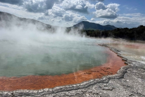 Ex Auckland: TRIPLE DEAL Wai-O-Tapu, Redwood & Blue Springs