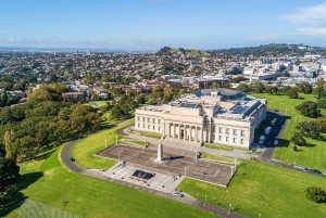 Ultimate Auckland Experience Full Day Tour with Lunch