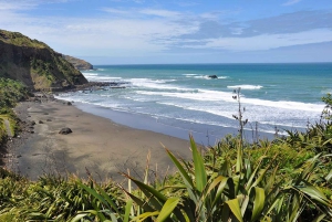 Ultimate Auckland Experience Full Day Tour with Lunch