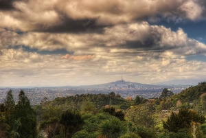 Ultimate Auckland Experience Full Day Tour with Lunch