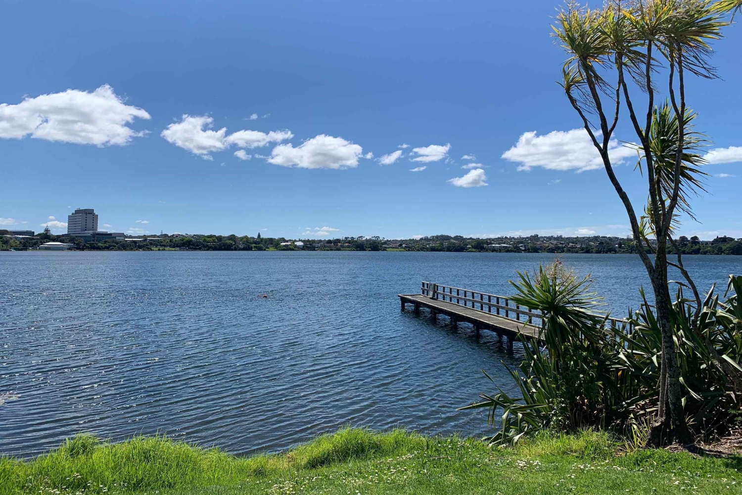 Wulkany, wybrzeże i tajne miejsca – wycieczka popołudniowa z Auckland