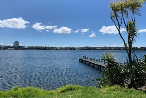 Wulkany, wybrzeże i tajne miejsca – wycieczka popołudniowa z Auckland