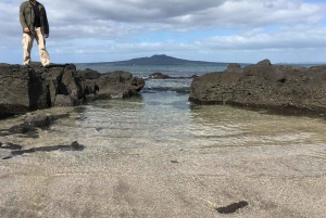 Wulkany, wybrzeże i tajne miejsca – wycieczka popołudniowa z Auckland