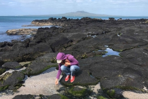 Wulkany, wybrzeże i tajne miejsca – wycieczka popołudniowa z Auckland