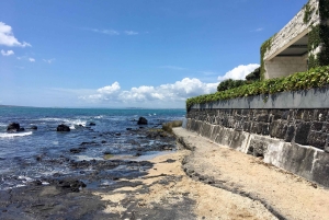 Wulkany, wybrzeże i tajne miejsca – wycieczka popołudniowa z Auckland