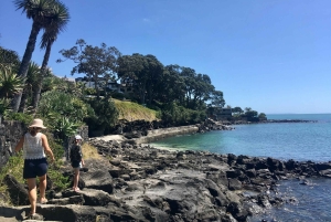 Wulkany, wybrzeże i tajne miejsca – wycieczka popołudniowa z Auckland