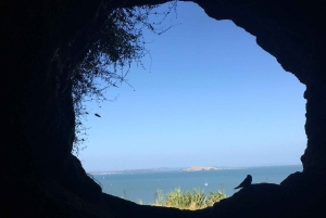 Wulkany, wybrzeże i tajne miejsca – wycieczka popołudniowa z Auckland