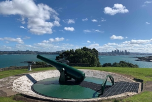 Wulkany, wybrzeże i tajne miejsca – wycieczka popołudniowa z Auckland