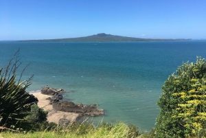 Wulkany, wybrzeże i tajne miejsca – wycieczka popołudniowa z Auckland