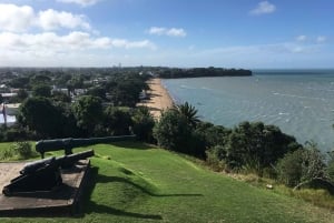 Wulkany, wybrzeże i tajne miejsca – wycieczka popołudniowa z Auckland