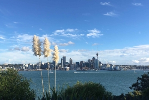 Wulkany, wybrzeże i tajne miejsca – wycieczka popołudniowa z Auckland