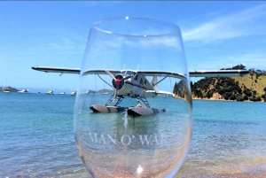 Waiheke Island 3-Hour Fly & Dine Wine Tasting Experience