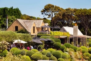 Isola di Waiheke: tour enologico pomeridiano con pranzo sull'oceano