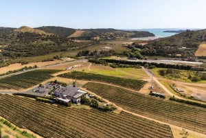 Isola di Waiheke: tour enologico pomeridiano con pranzo sull'oceano