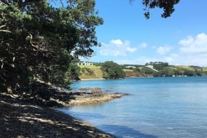 Waiheke Island: Double Headland Premium Guided Coastal Walk
