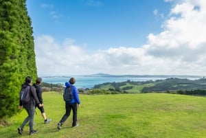 Waiheke Island: Double Headland Premium Guided Coastal Walk